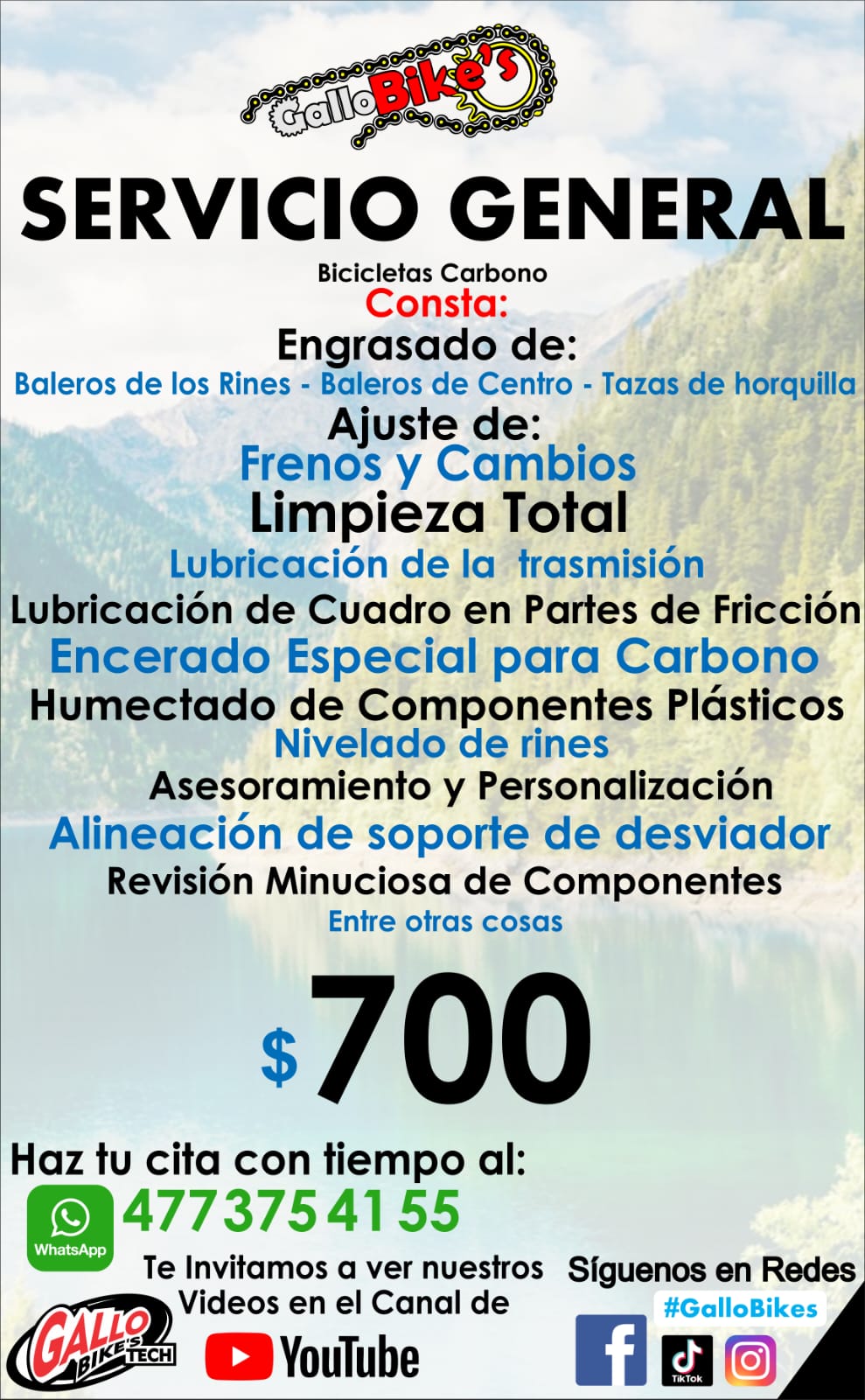 SERVICIO COMPLETO PARA BICIS DE CARBONO