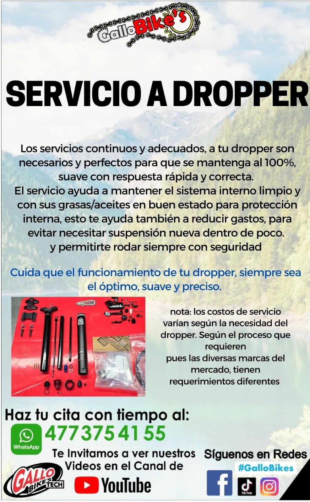 SERVICIO A DROPPER POST DE BICICLETA