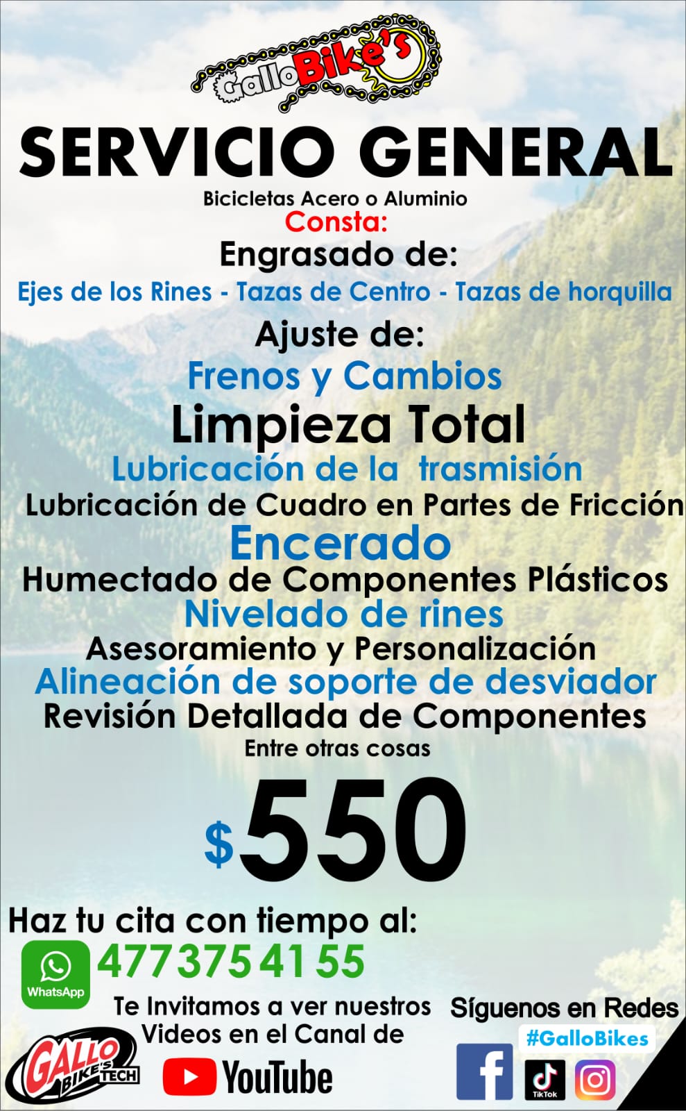 SERVICIO COMPLETO PARA BICIS DE ALUMINIO