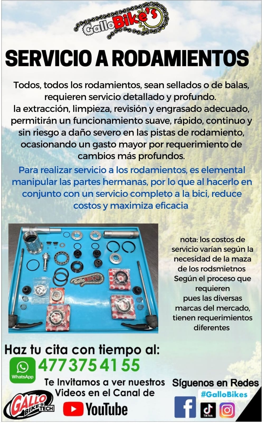 SERVICIO A RODAMIENTOS DE BICICLETAS