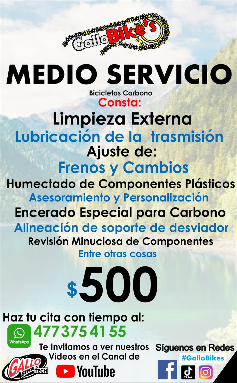 SERVICIO EXTERNO PARA BICIS DE CARBONO