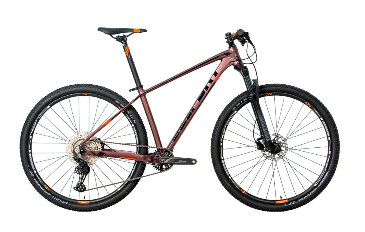 Bicicleta BELFORT ALOM JUDY r29