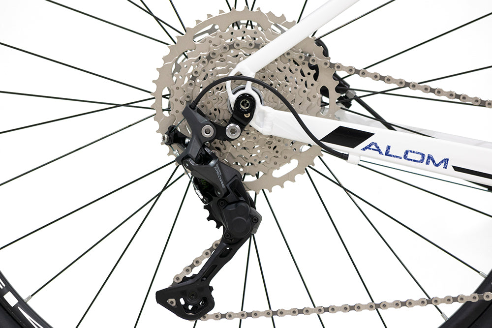 Bici BELFORT ALOM AERIAL R29