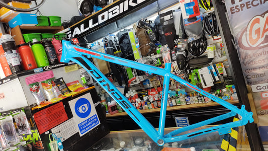 Cuadro R-29 dino de aluminio azul