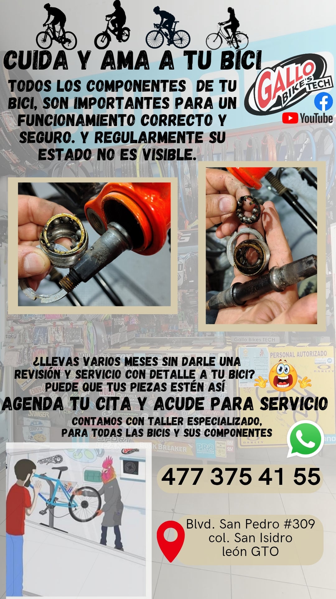 ¿CÓMO CUIDO MI BICI?   DALE MANTENIMIENTO, SERVICIO Y CUIDADO CONAS MANOS EXPERTAS, QUE TODAS LAS BICIS LAS DEJAN 💯 Gallo Bikes's tech