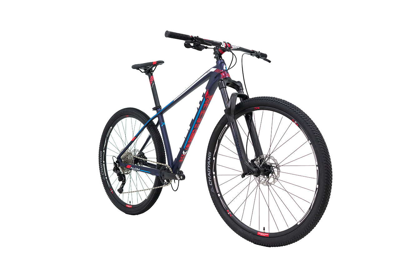 Bicicleta BELFORT ALOM COMP B1 r-29 2025