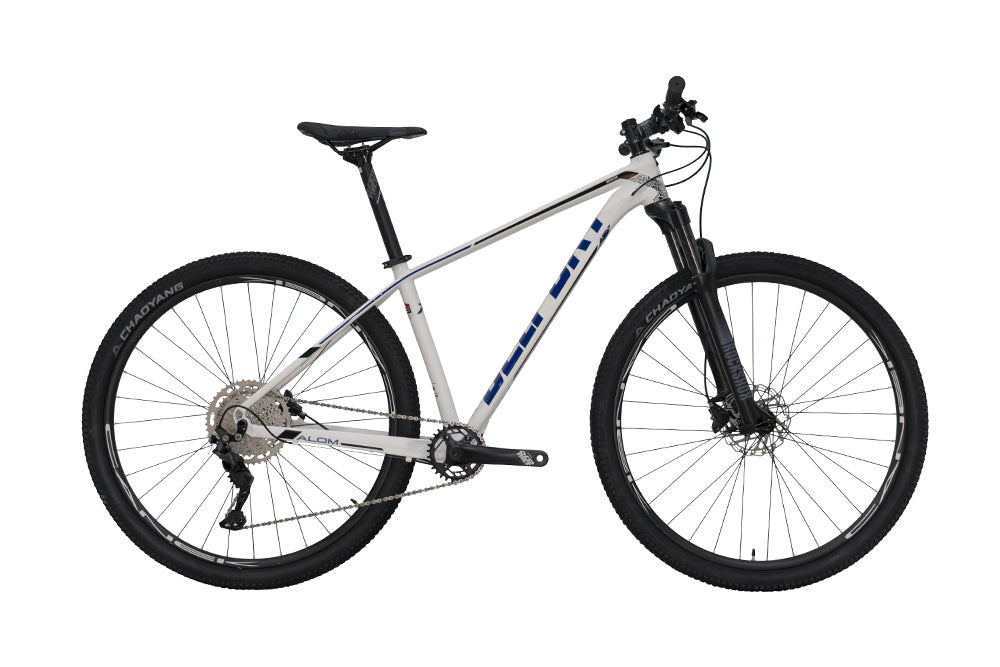 Bicicleta BELFORT ALOM COMP B1 r-29 2025