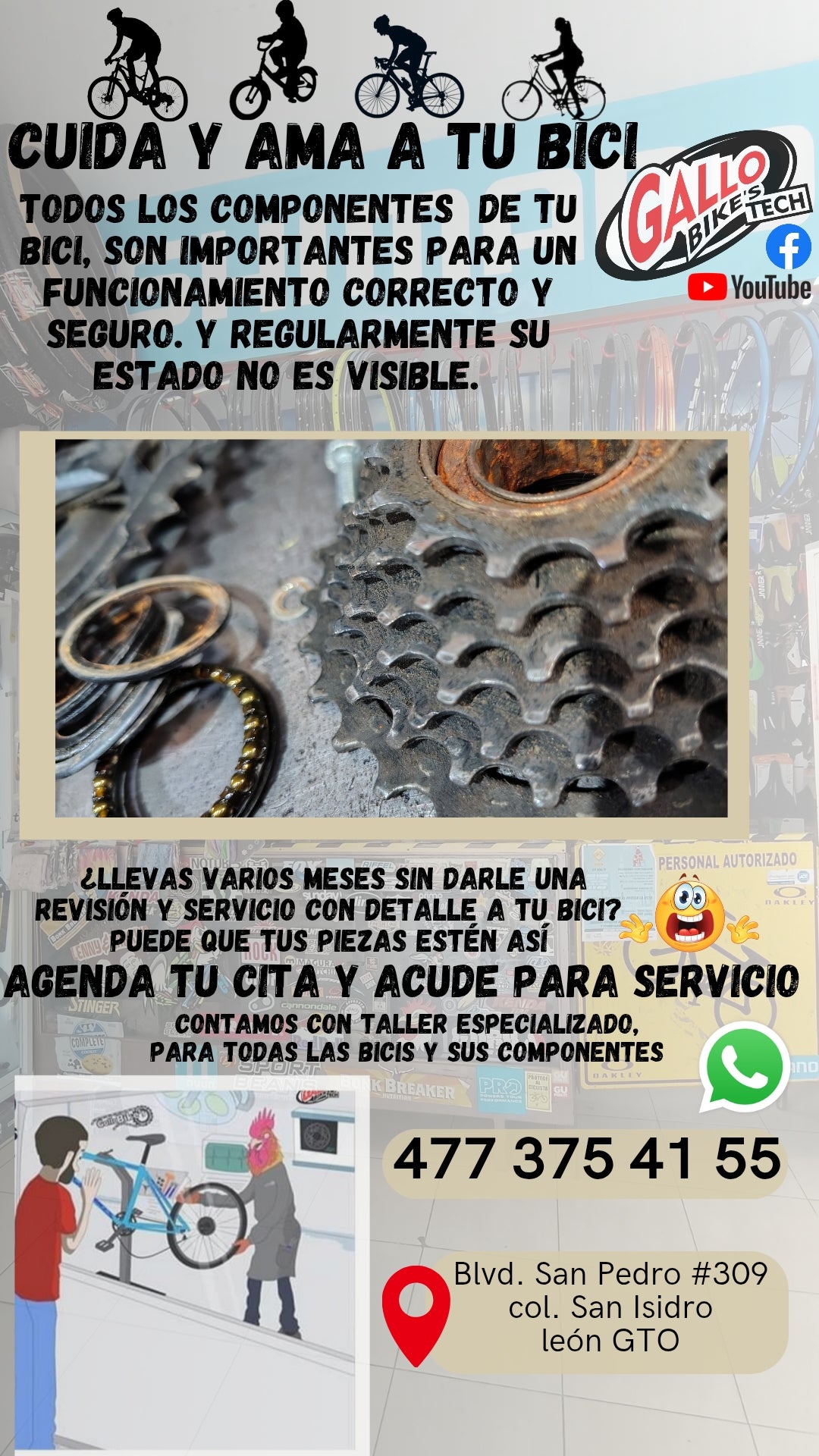 ¿CÓMO CUIDO MI BICI?   DALE MANTENIMIENTO, SERVICIO Y CUIDADO CONAS MANOS EXPERTAS, QUE TODAS LAS BICIS LAS DEJAN 💯 Gallo Bikes's tech