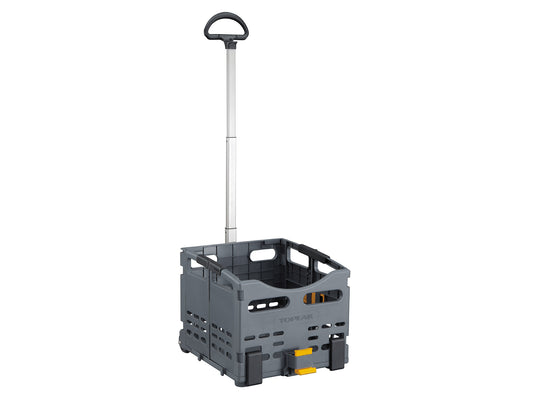 TOPEAK Canastilla con montura a parilla