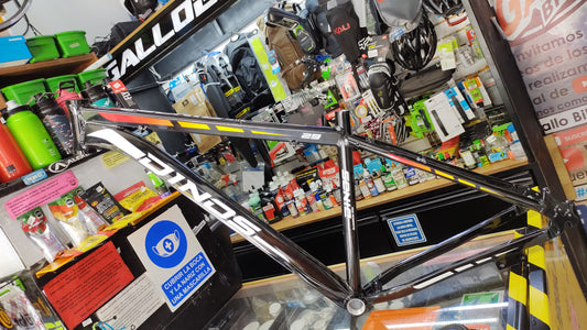 Cuadro R-29 dino de aluminio negro