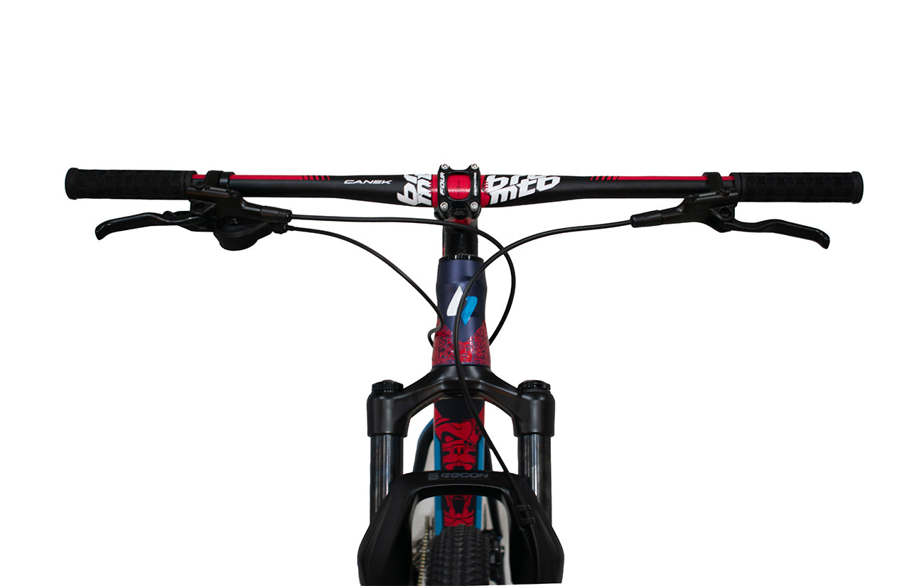 Bicicleta BELFORT ALOM COMP B1 r-29 2025