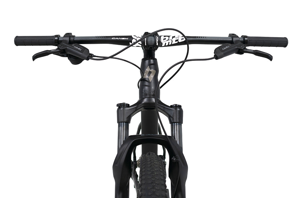 Bicicleta BELFORT ZAMNA comp B1 R29