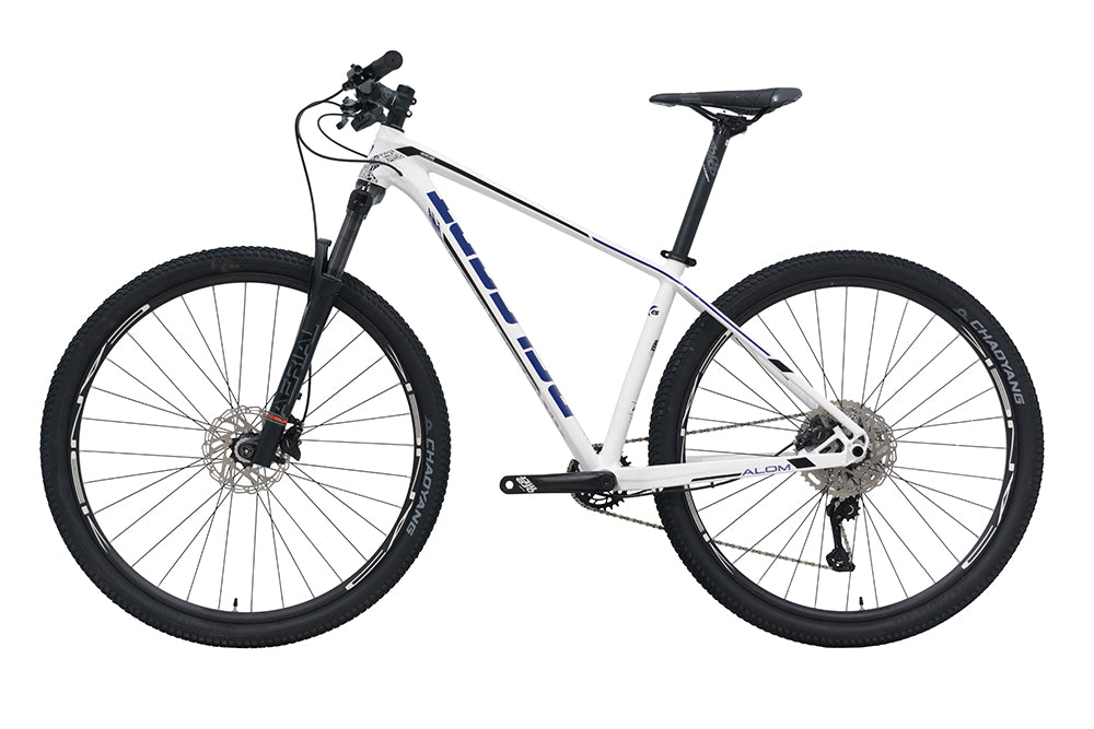 Bici BELFORT ALOM AERIAL R29