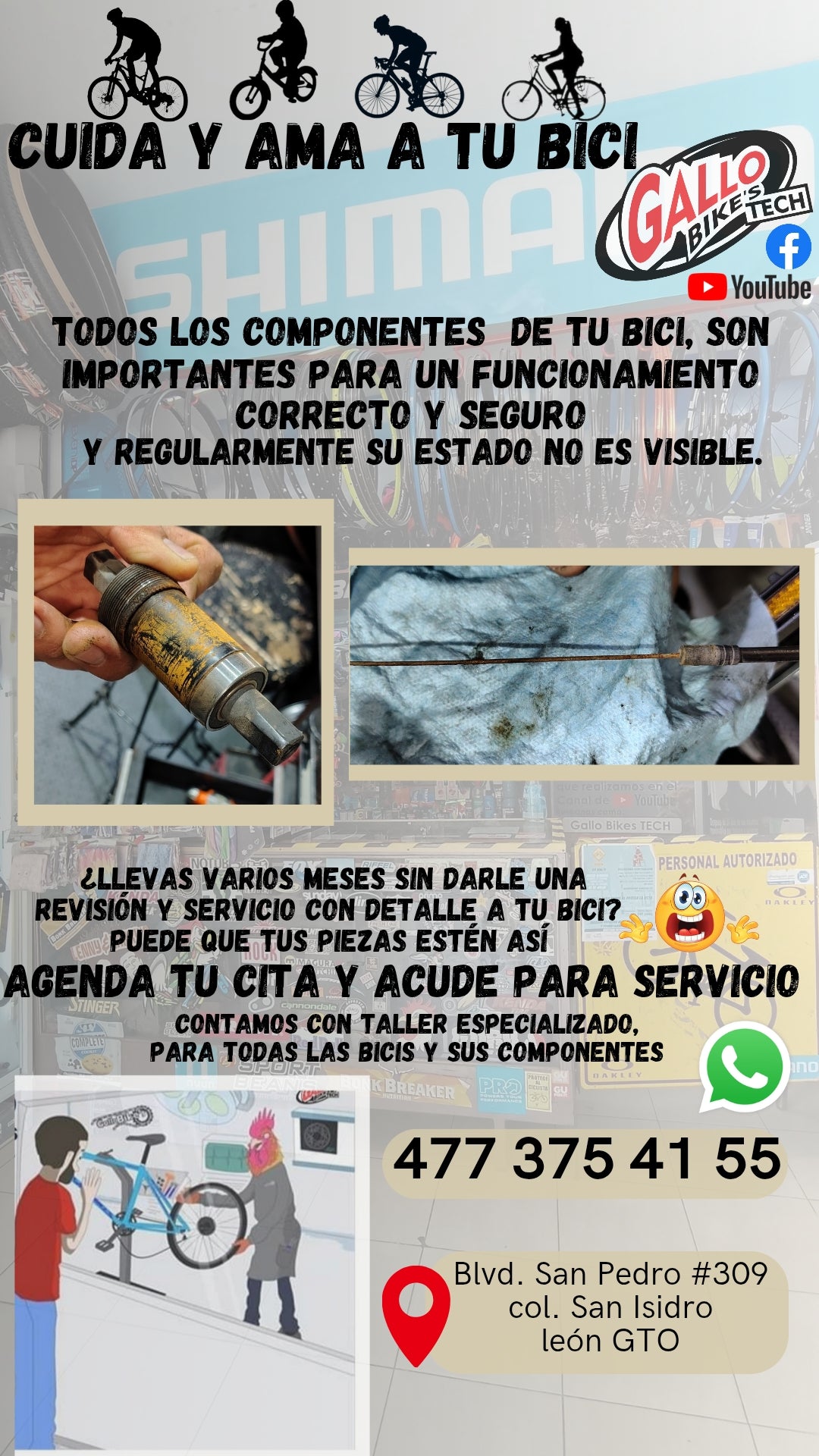 ¿CÓMO CUIDO MI BICI? DALE MANTENIMIENTO, SERVICIO Y CUIDADO CONAS MANOS EXPERTAS, QUE TODAS LAS BICIS LAS DEJAN 💯 Gallo Bikes's tech