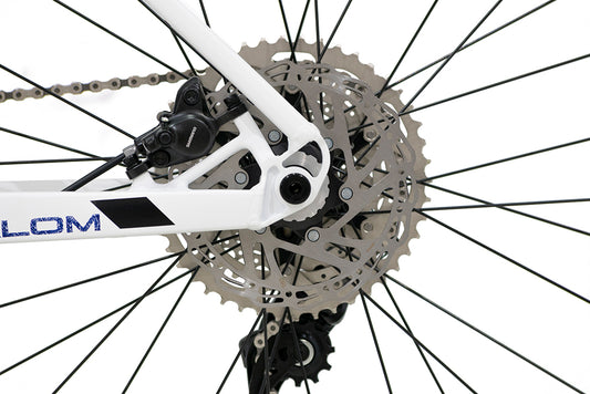 Bici BELFORT ALOM AERIAL R29