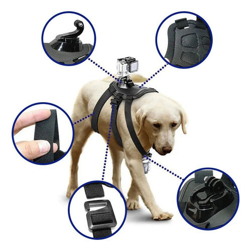 Arnes para perro GOPRO