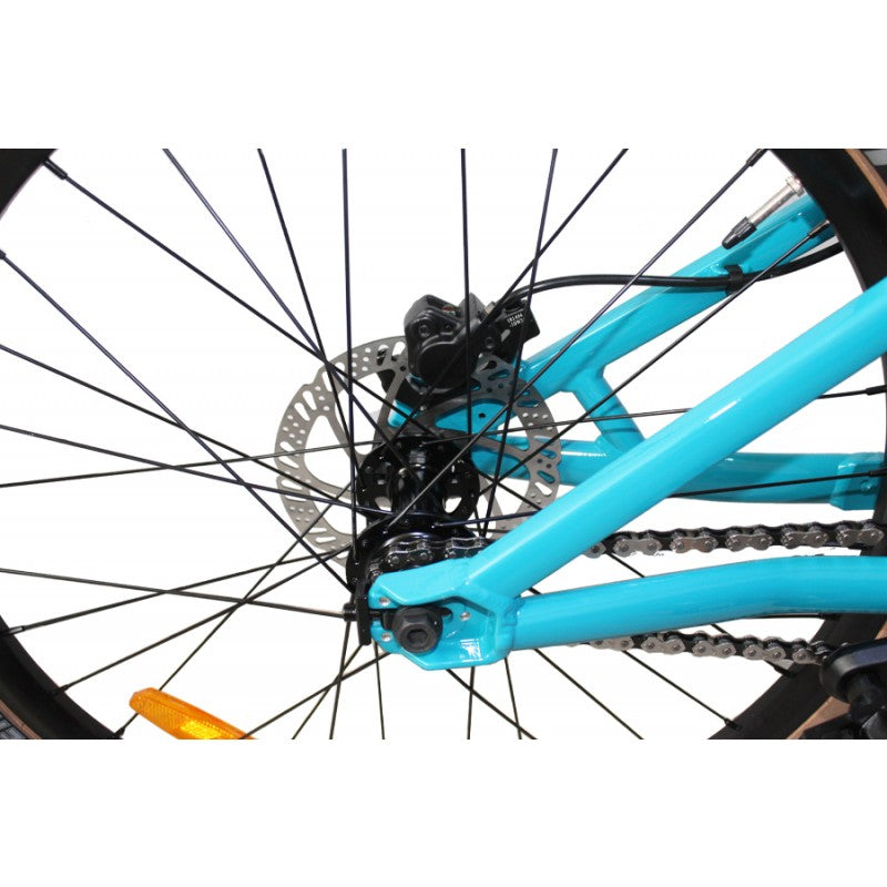 Bicicleta r24 Dirt / stunt digger green plus