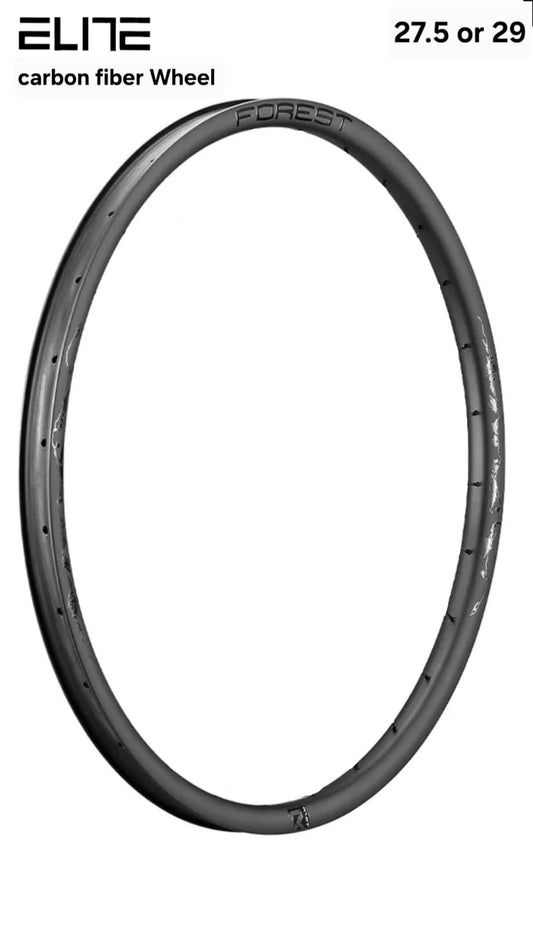 Aro ELITE carbono 29" 28h