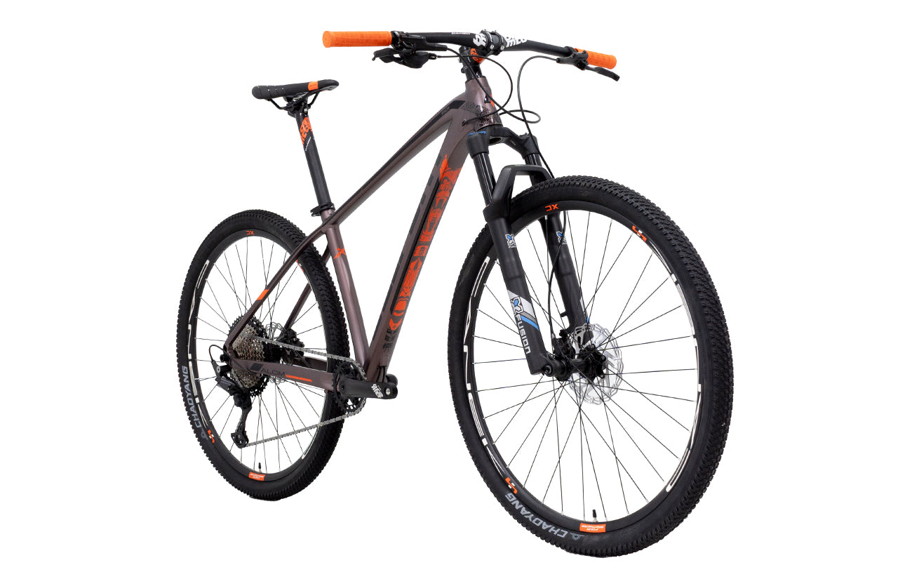 Bicicleta BELFORT ALOM SL B2 r-29