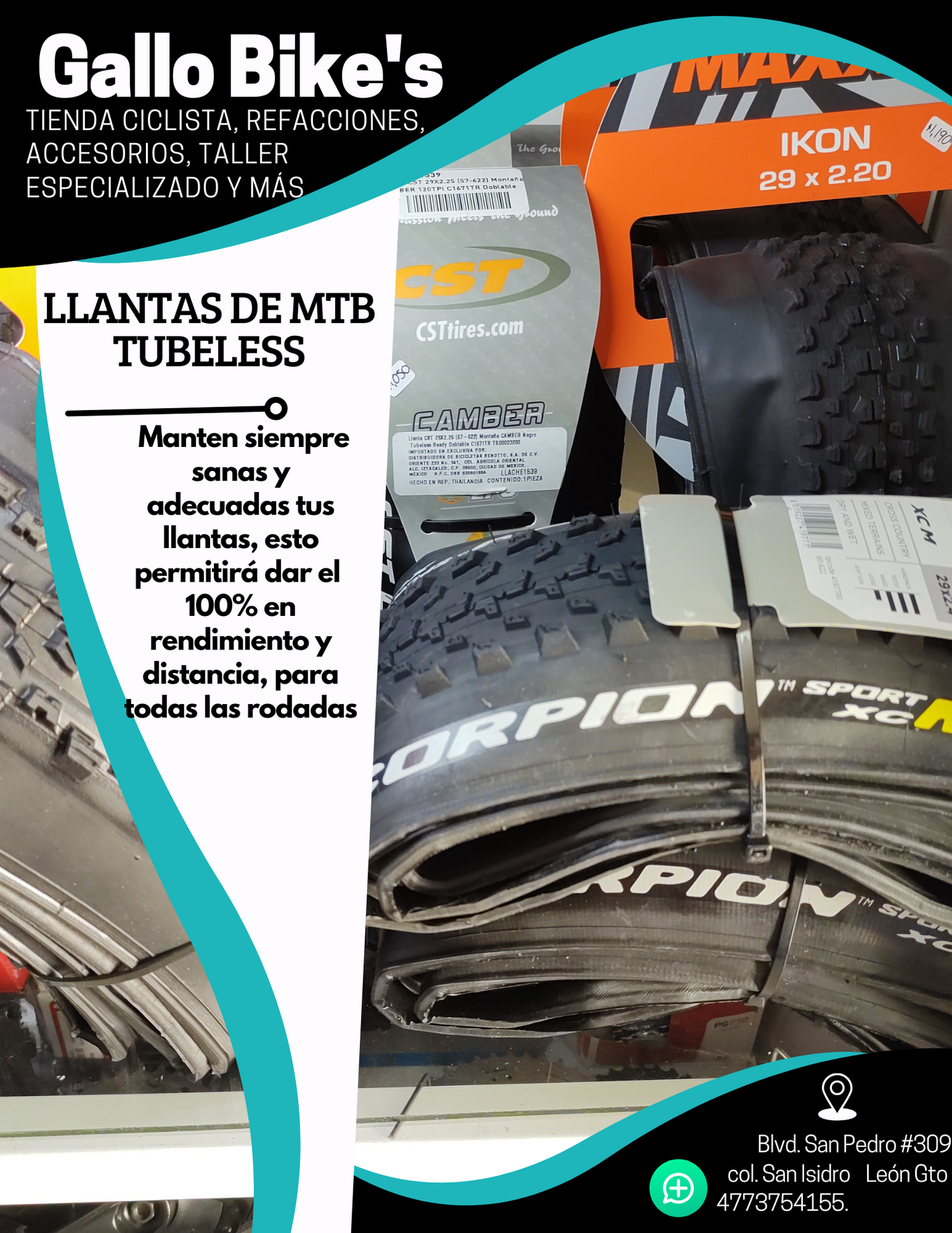 Llantas tubeless mtb
