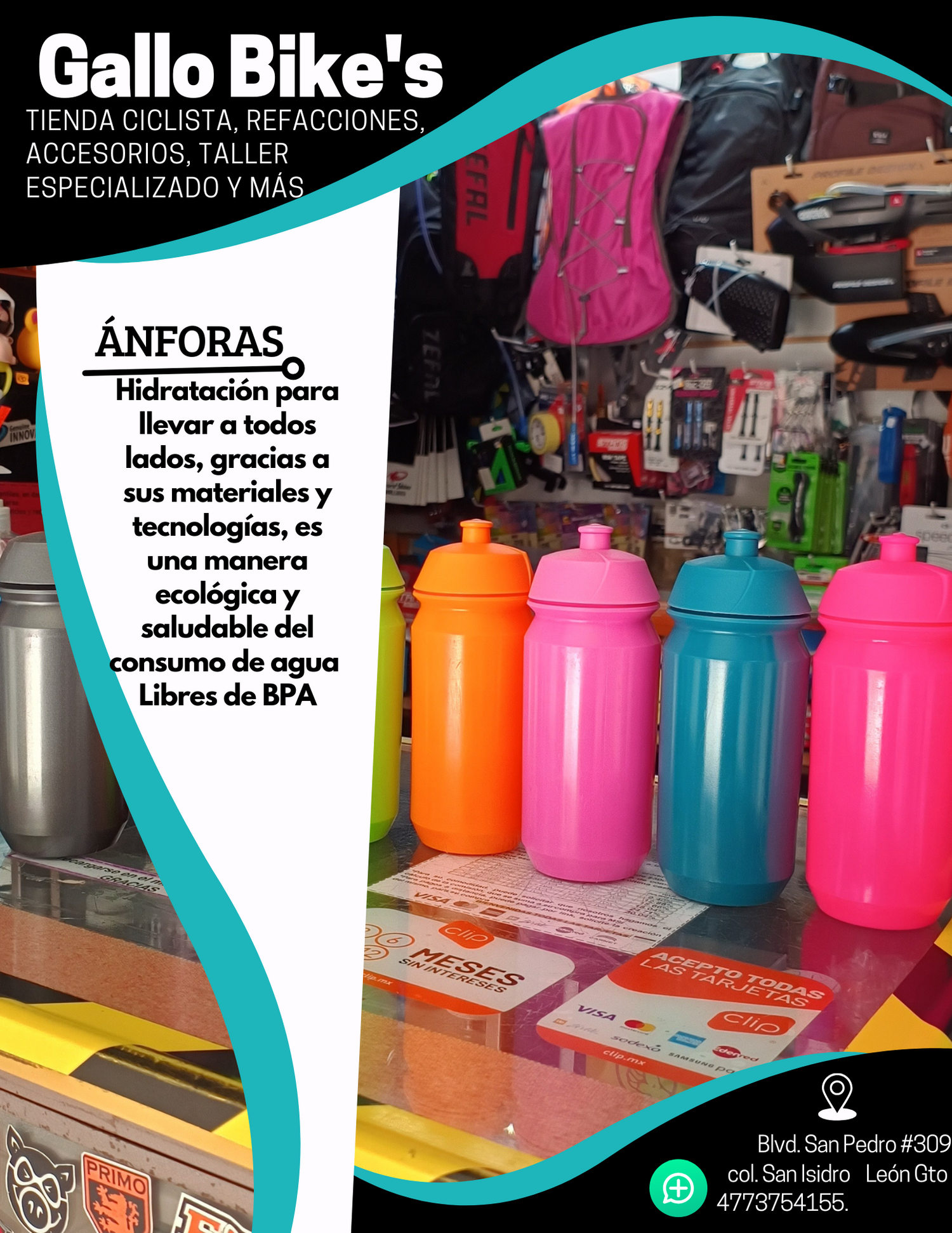 Ánforas