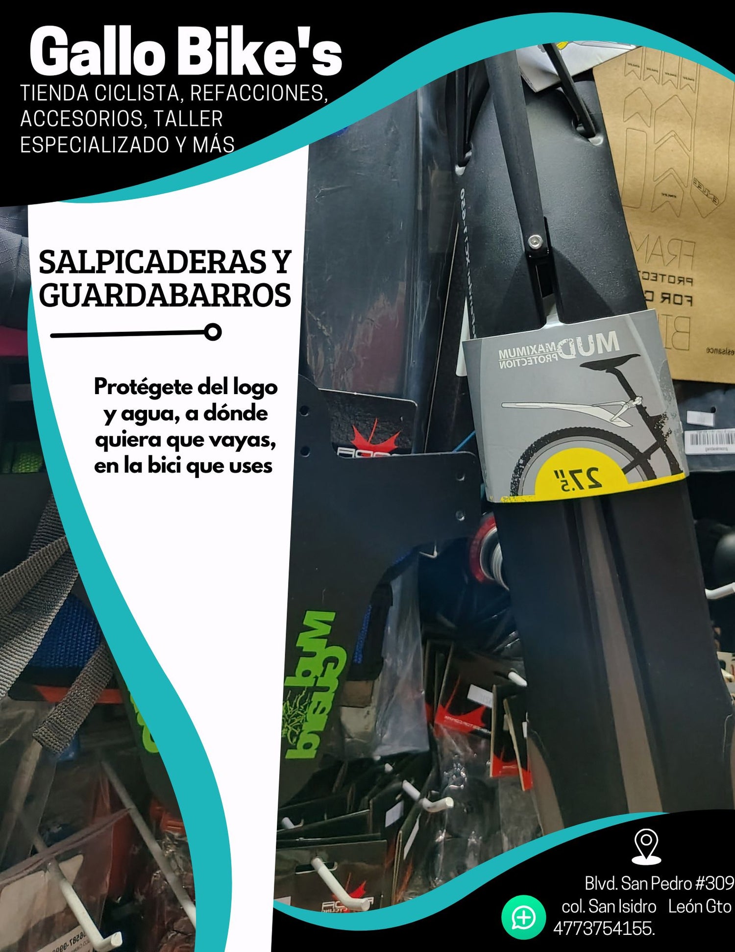 Salpicadera y guardabarros