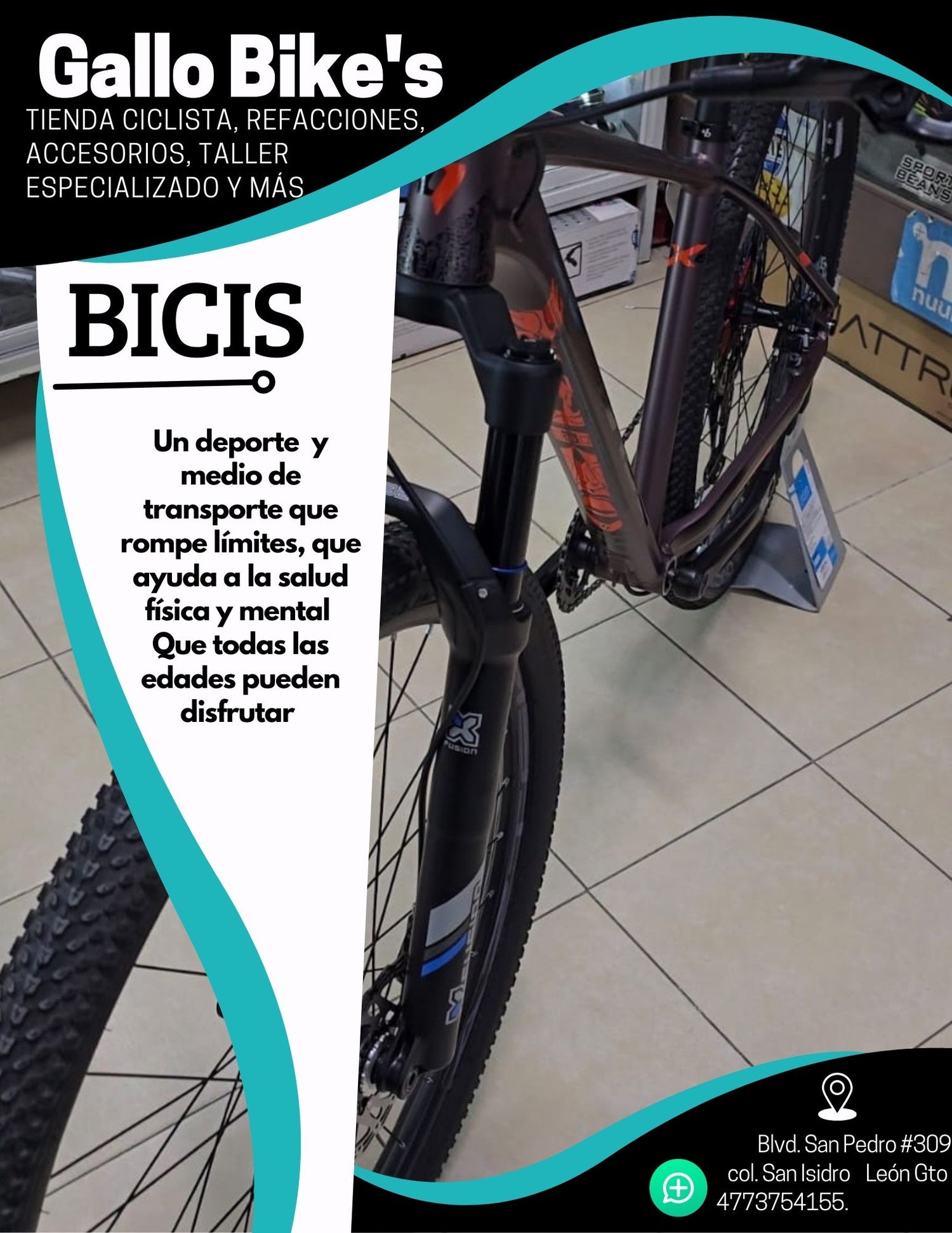 Bicicletas