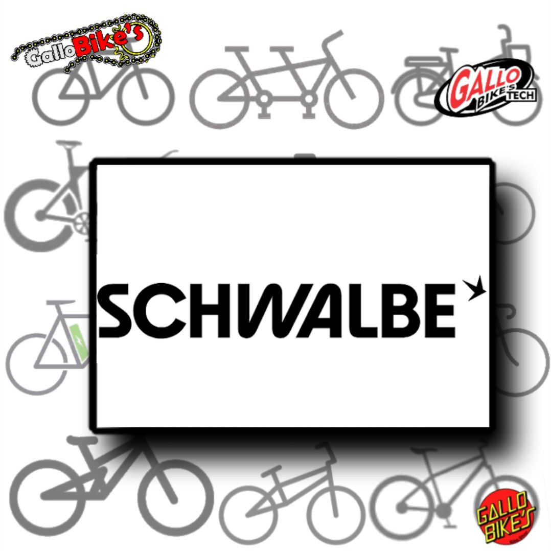 Zz. Marca schwalbe