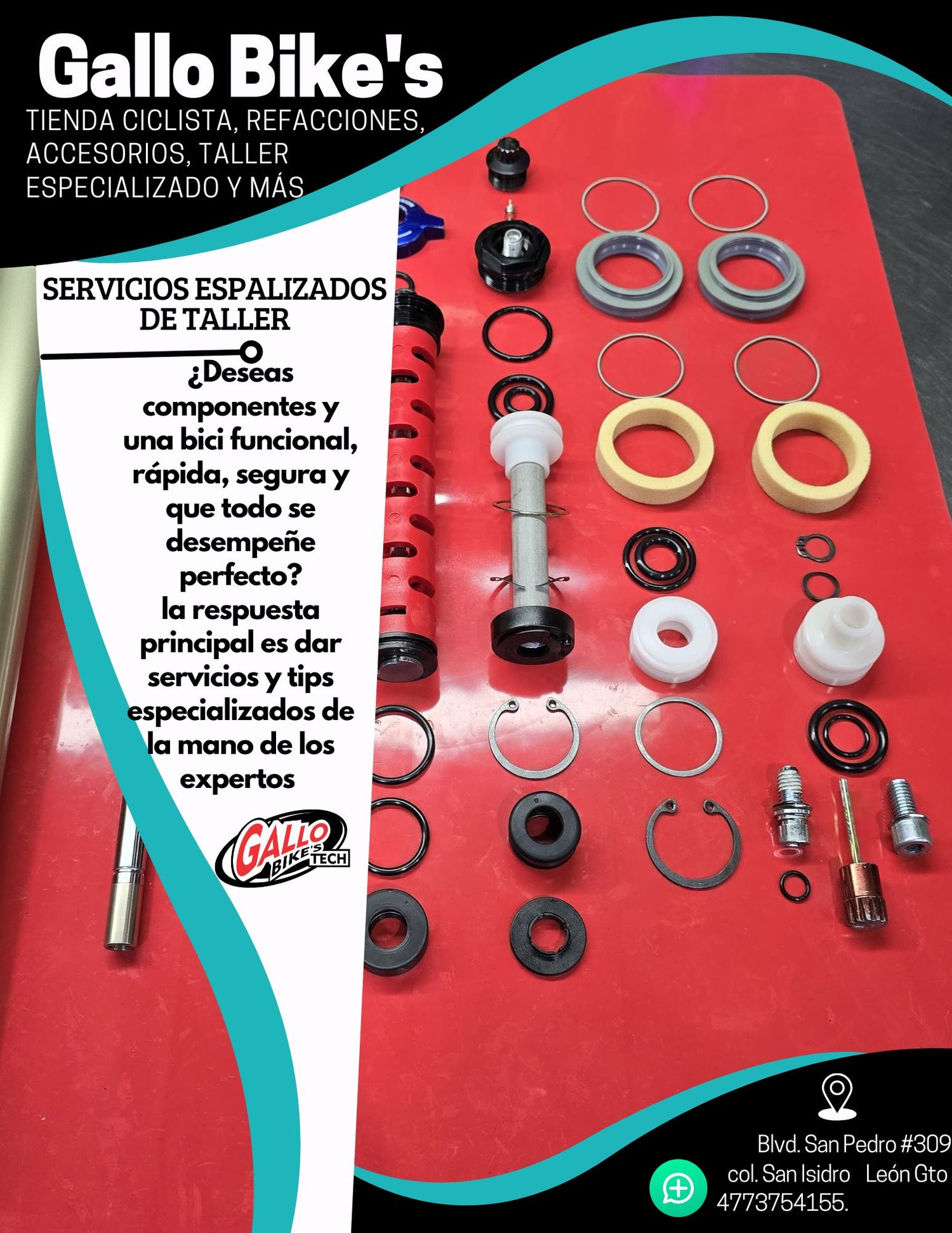 Servicios especializados Gallo Bike's