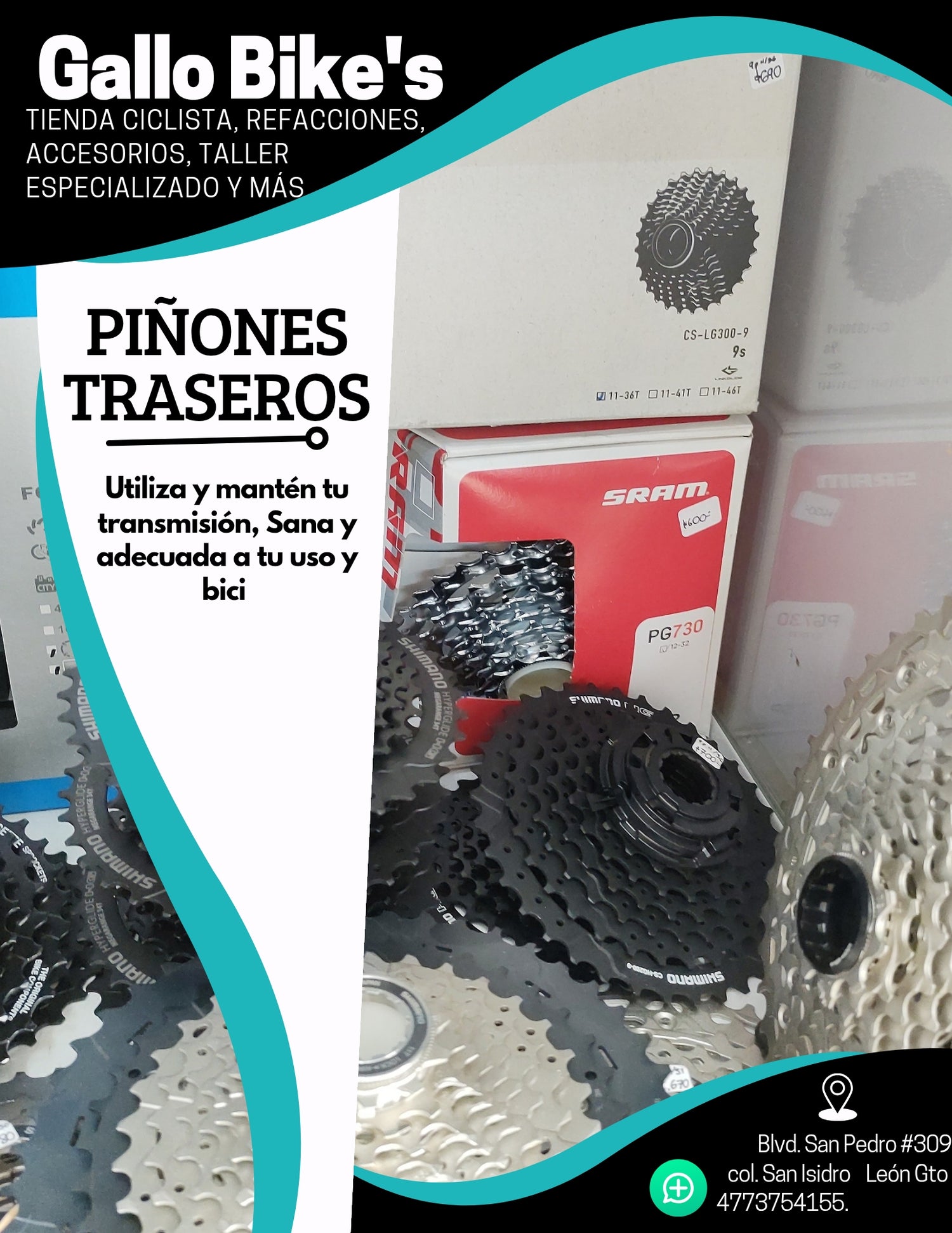 Piñones traseros. Cassette, mazorca, rueda libre