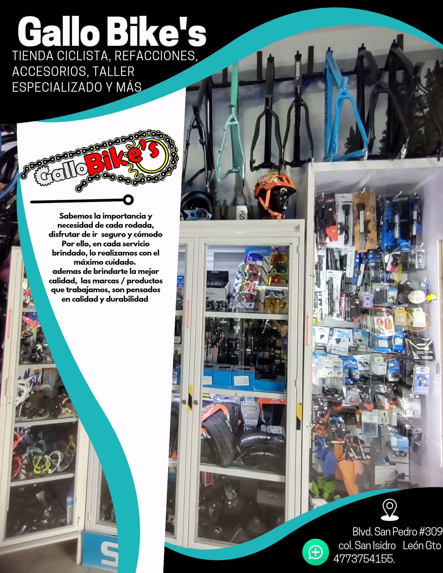 Zz. Publicidad y fotos de tienda física Gallo Bike's