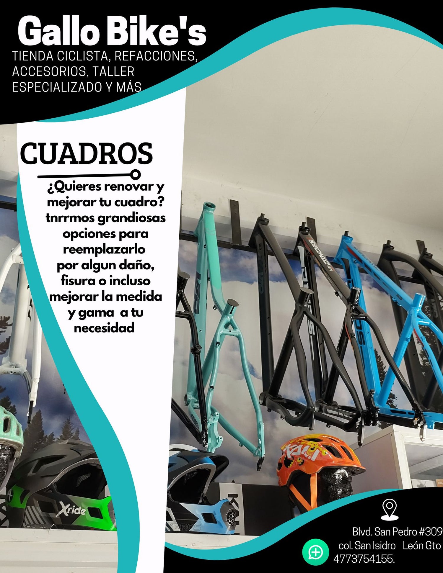 Cuadros de bici