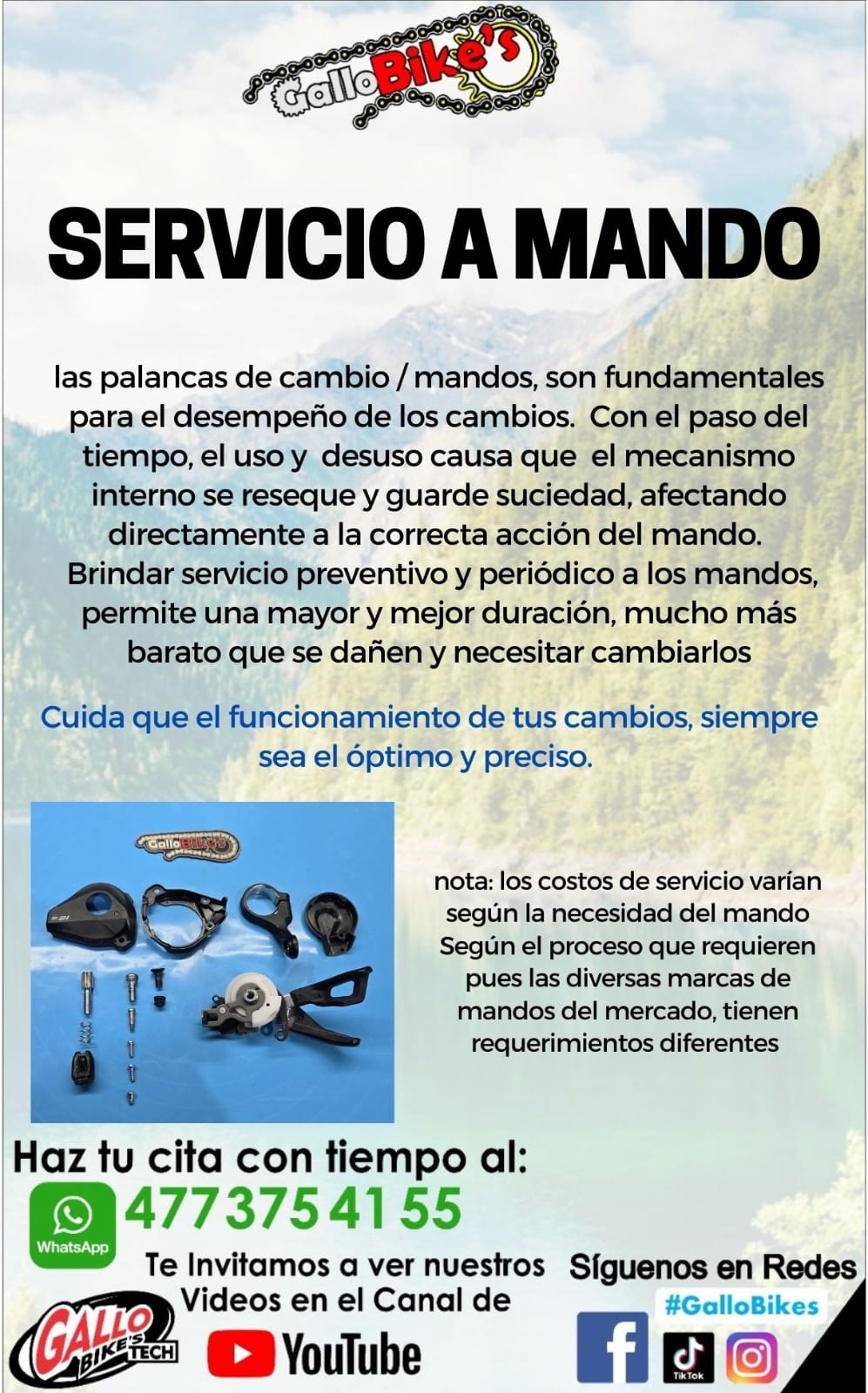 SERVICIO A MANDO / PALANCA DE CAMBIO, DE BICICLETA