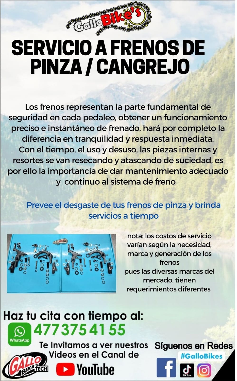 SERVICIO A CANGREJOS / PINZAS DE FRENO DE BICICLETA