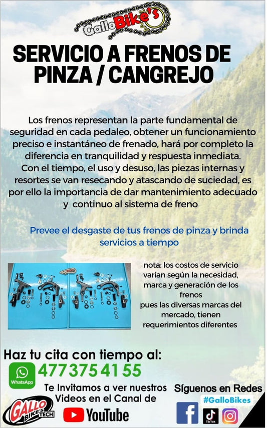 SERVICIO A CANGREJOS / PINZAS DE FRENO DE BICICLETA