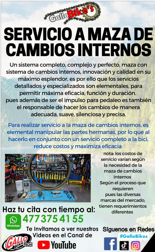 SERVICIO A MAZA DE CAMBIOS INTERNOS DE BICI