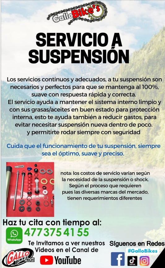 SERVICIO A SUSPENSIÓN DE BICICLETA