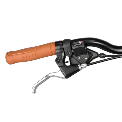 Bicicleta TURBO R-700  Urban 1.1 W Champange 1x6v