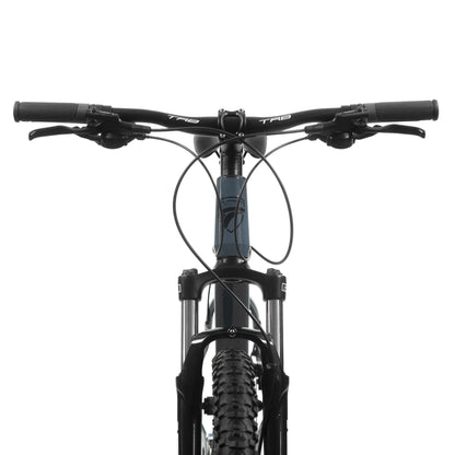 Bicicleta TURBO R 29 aluminio TX 9.3  gris Talla L  3x8v