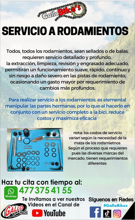 SERVICIO A RODAMIENTOS DE BICICLETAS