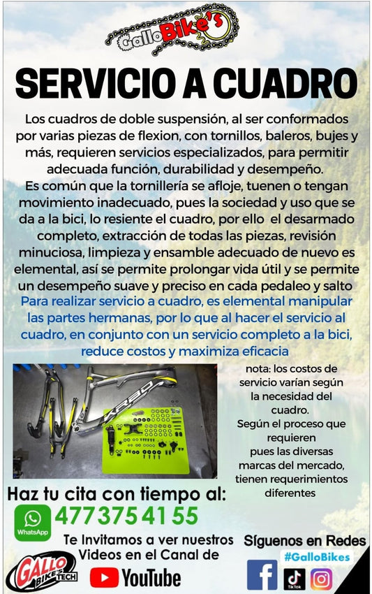 SERVICIO A CUADRO DE BICICLETA, DOBLE SUSPENSIÓN