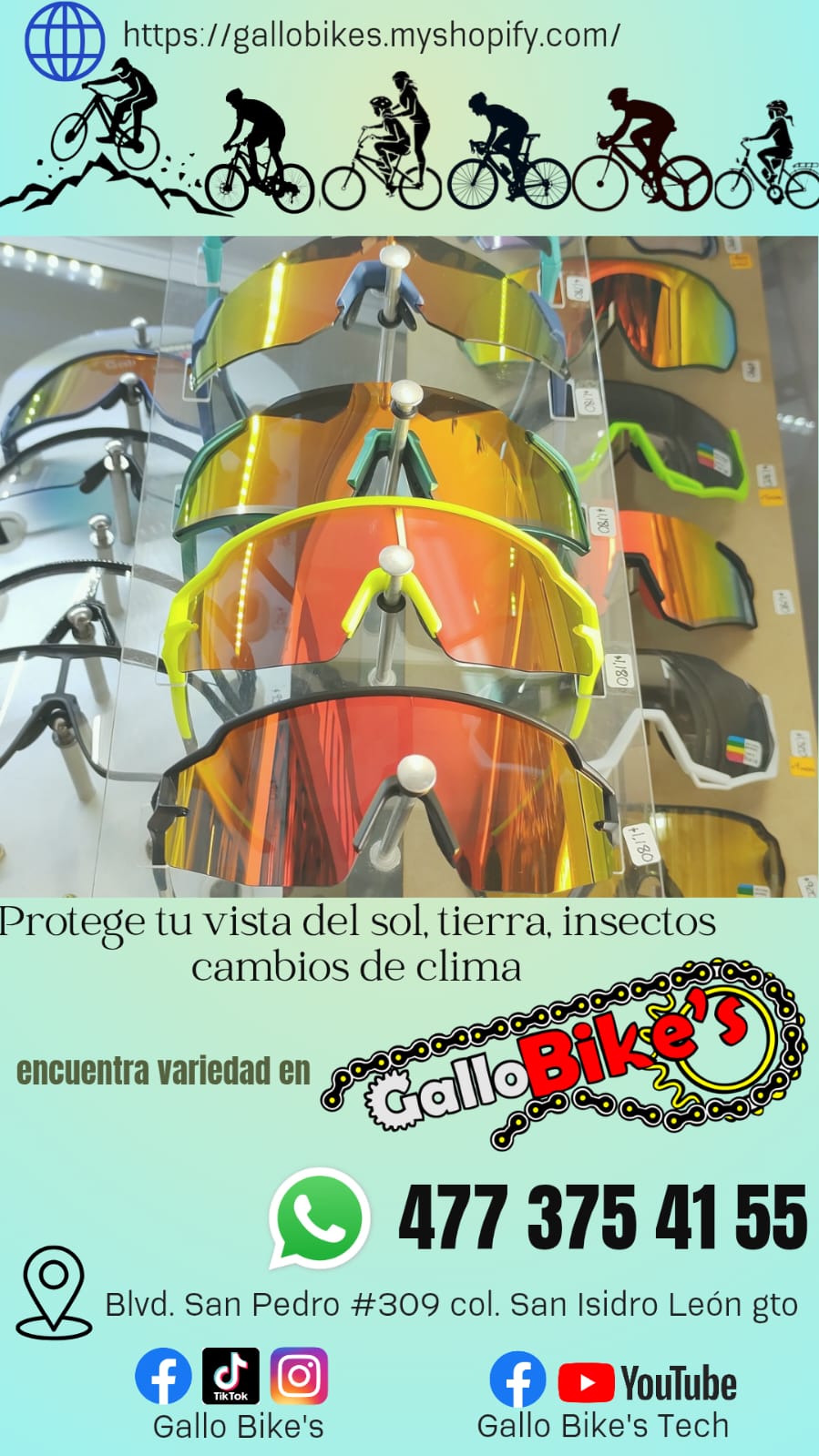 Refacciones, accesorios, ropa, energéticos, taller con servicios especializados, bicis, todo eso y más lo encuentras, con amplia variedad en tu tienda de confianza... Gallo Bikes's