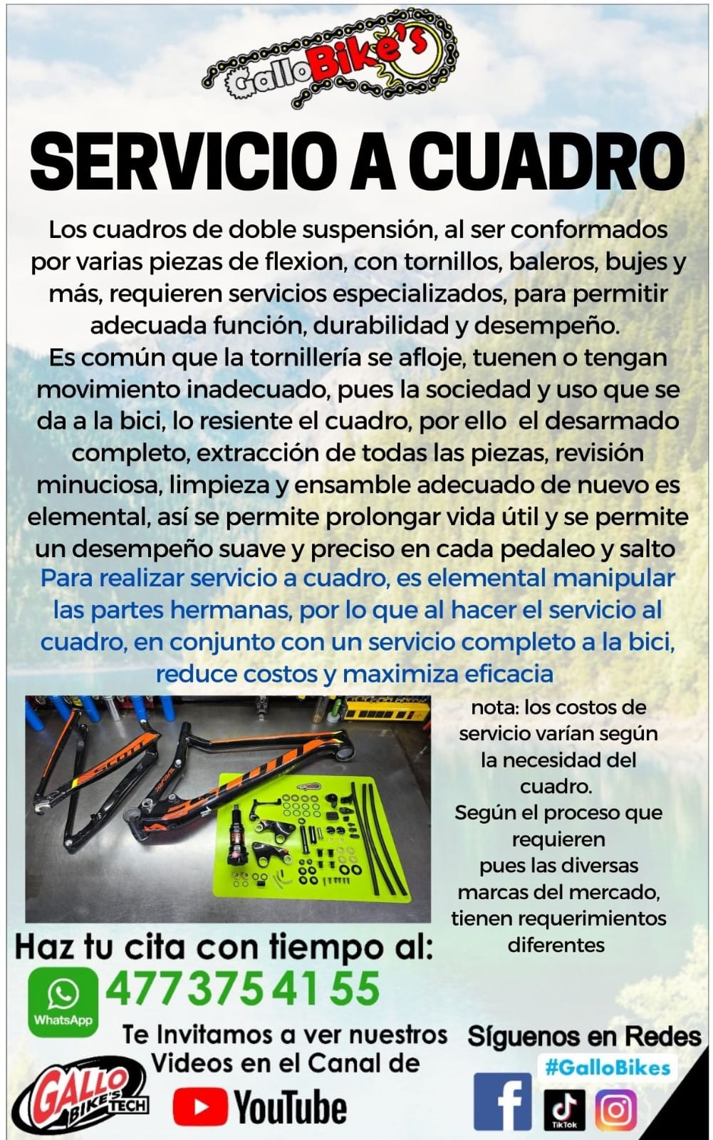SERVICIO A CUADRO DE BICICLETA DE DOBLE SUSPENSIÓN