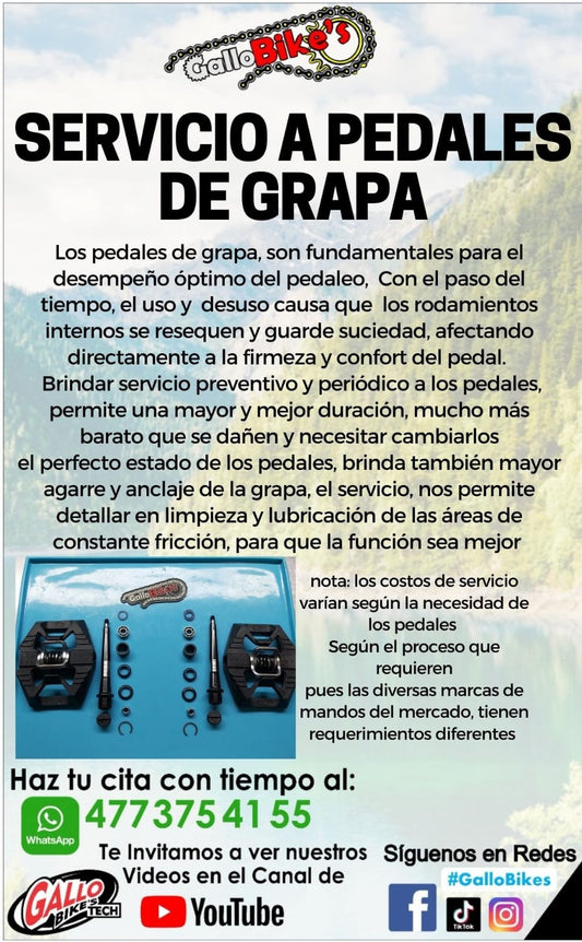 SERVICIO A PEDALES DE GRAPA Y CITY
