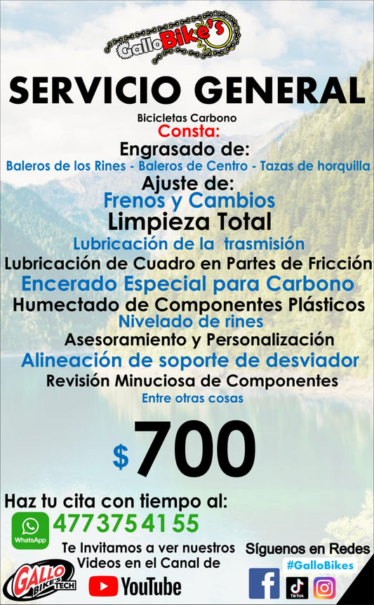 SERVICIO COMPLETO PARA BICIS DE CARBONO