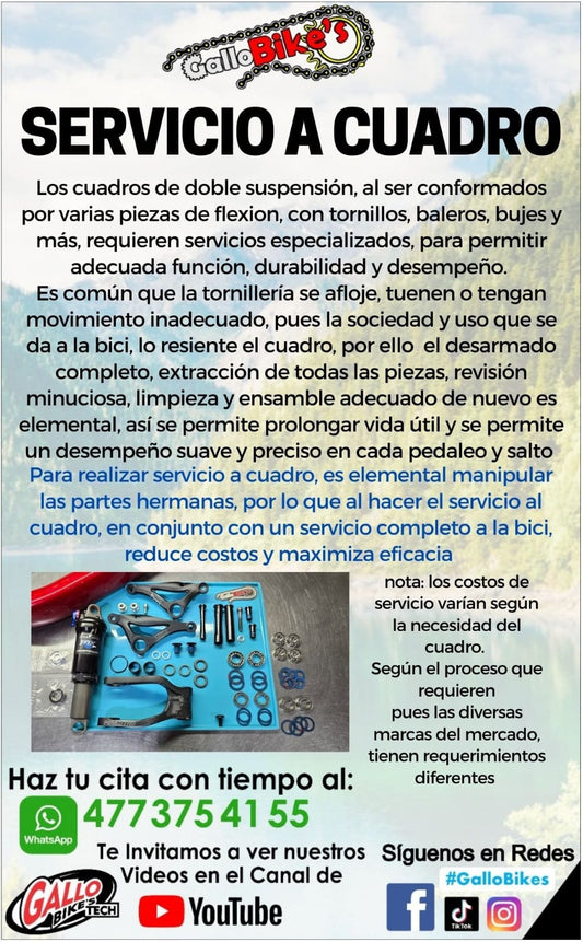 SERVICIO A CUADRO Y RODAMIENTOS DE BICICLETA DOBLE SUSPENSIÓN