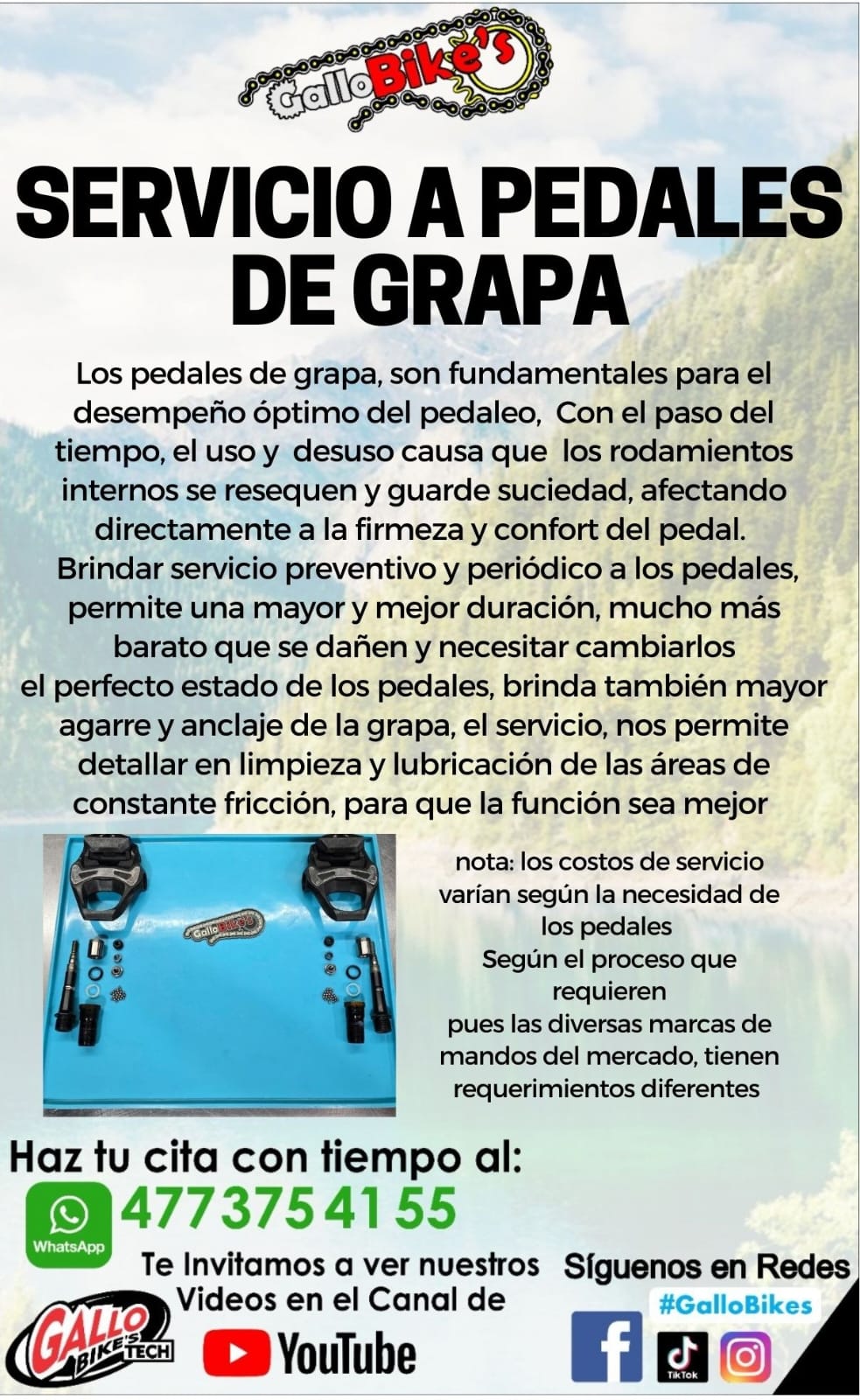 SERVICIO A PEDALES DE GRAPA, BICICLETA DE RUTA