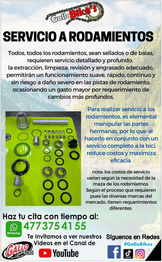 SERVICIO A RODAMIENTOS DE BICICLETA
