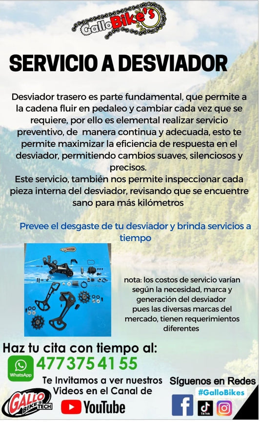 SERVICIO A DESVIADOR DE BICICLETA