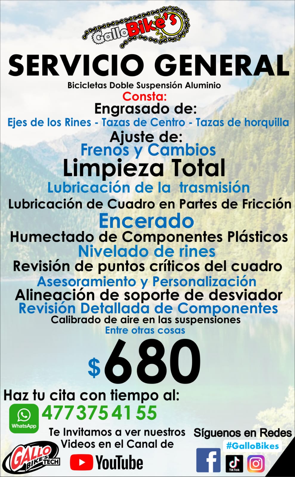 SERVICIO GENERAL PARA BICIS DOBLE SUSPENSIÓN